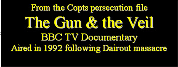 the gun and theveil